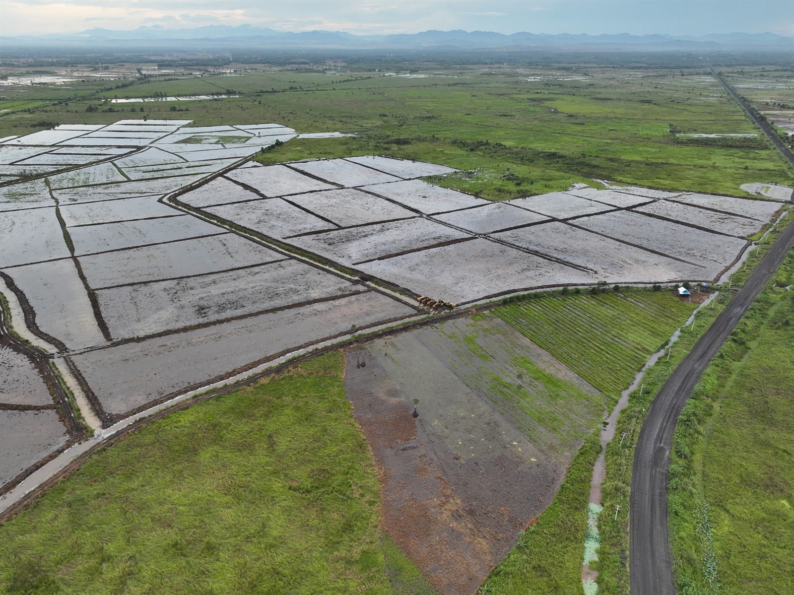 Land Clearing 1